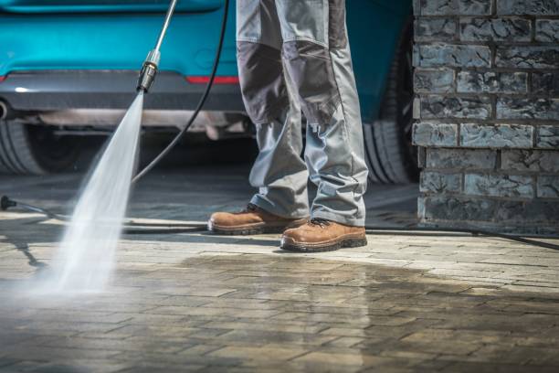 Animal Enclosure Cleaning in Riverdale, IL