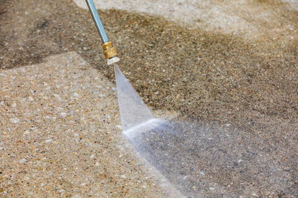 Best Pre-Holiday Cleaning  in Riverdale, IL